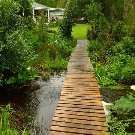 Boutique Vintage Forest Cabin Stormsrivier Zewnętrze zdjęcie