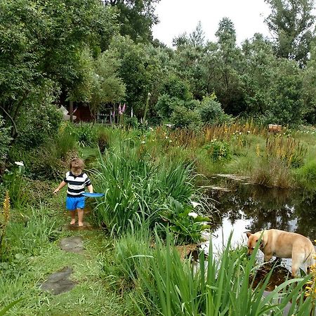 Boutique Vintage Forest Cabin Stormsrivier Zewnętrze zdjęcie
