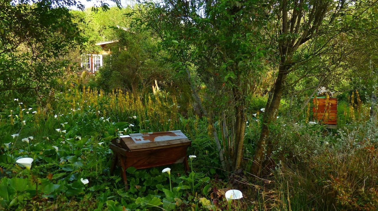 Boutique Vintage Forest Cabin Stormsrivier Zewnętrze zdjęcie