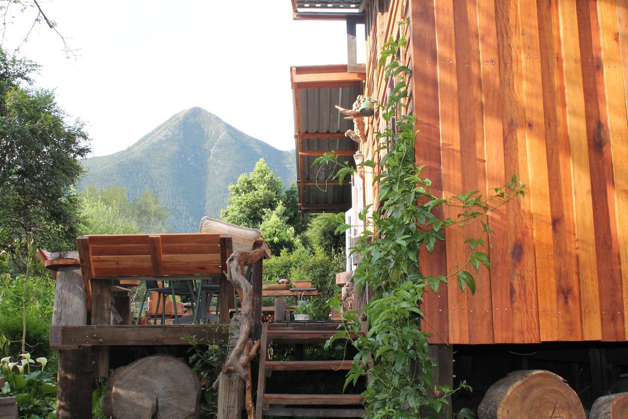 Boutique Vintage Forest Cabin Stormsrivier Zewnętrze zdjęcie