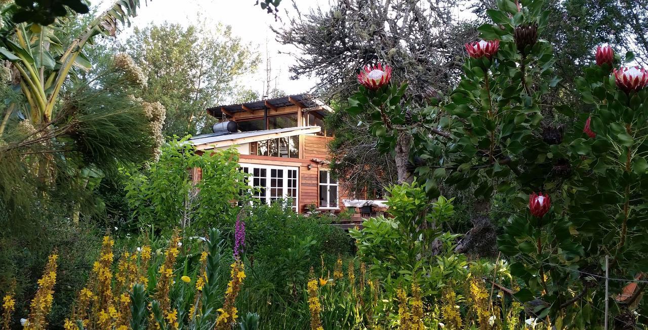 Boutique Vintage Forest Cabin Stormsrivier Zewnętrze zdjęcie