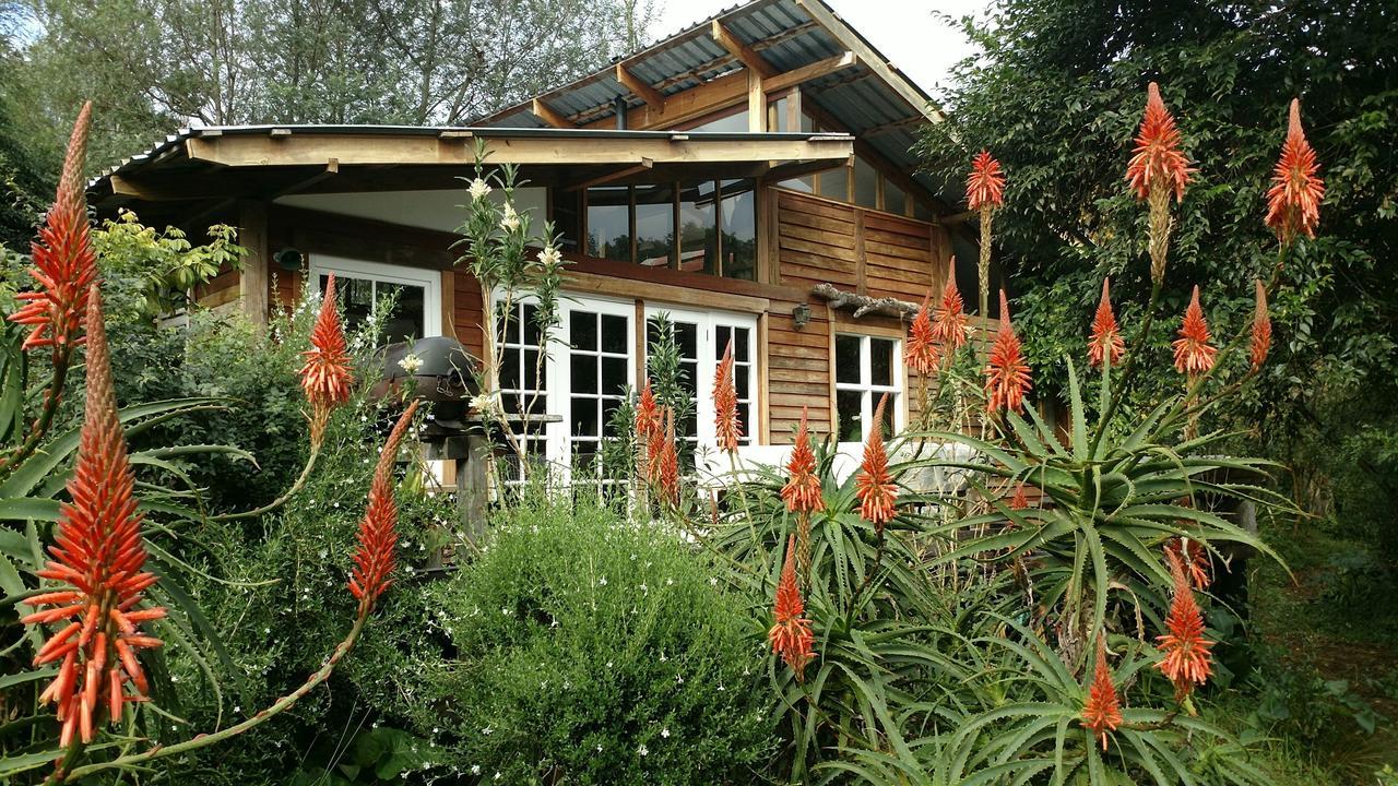 Boutique Vintage Forest Cabin Stormsrivier Zewnętrze zdjęcie